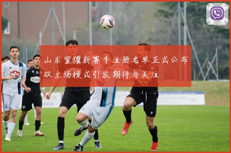 山东蜜獾新赛季注册名单正式公布双主场模式引发期待与关注
