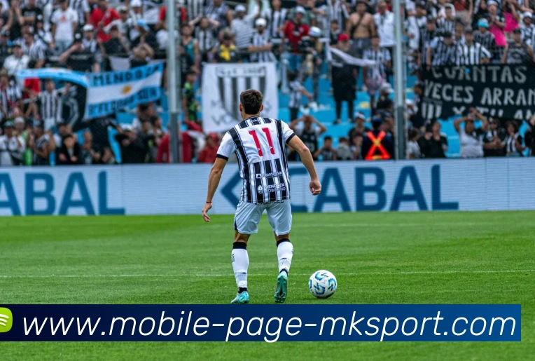 MK体育平台生态图